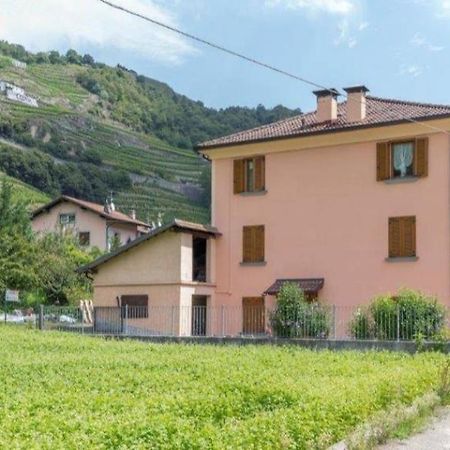 Joy Valtellina Per Amanti Degli Animali Hotel Tresenda Exterior photo