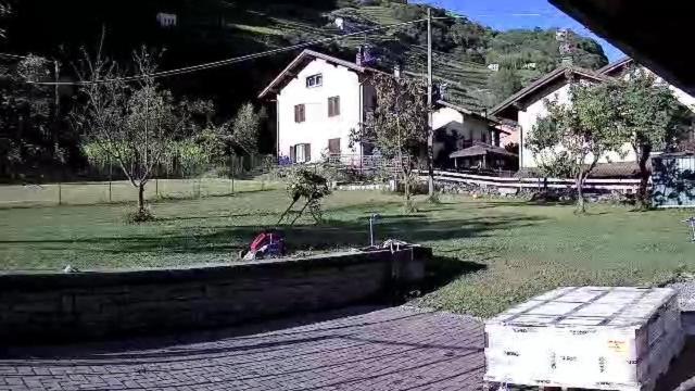 Joy Valtellina Per Amanti Degli Animali Hotel Tresenda Exterior photo