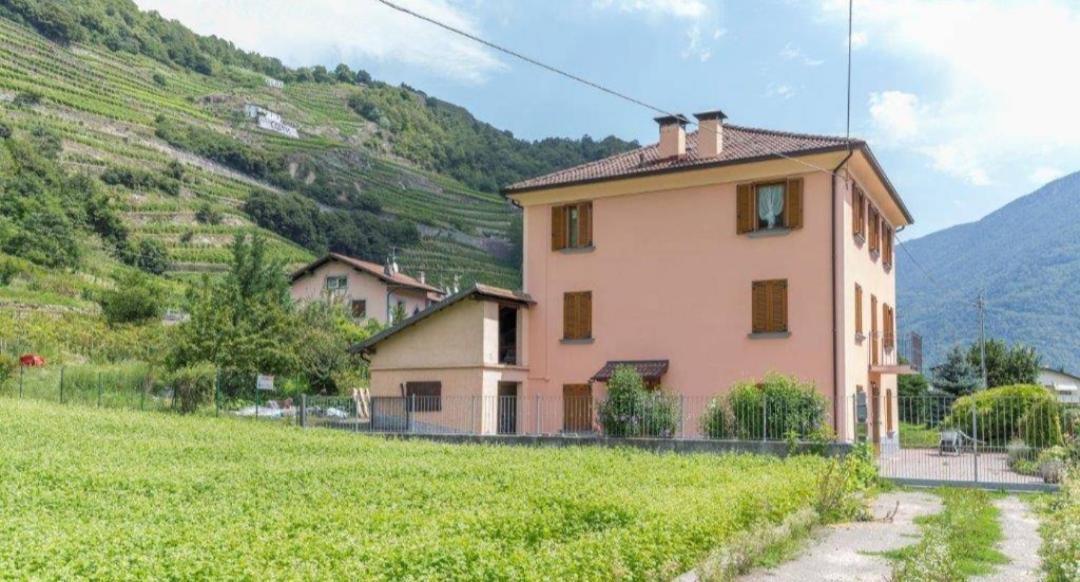 Joy Valtellina Per Amanti Degli Animali Hotel Tresenda Exterior photo